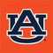 Auburn University Logo Orange Wii (Includes 1 Controller) Skin
